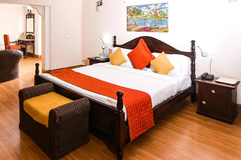 Singrauli-Palace-13 copy